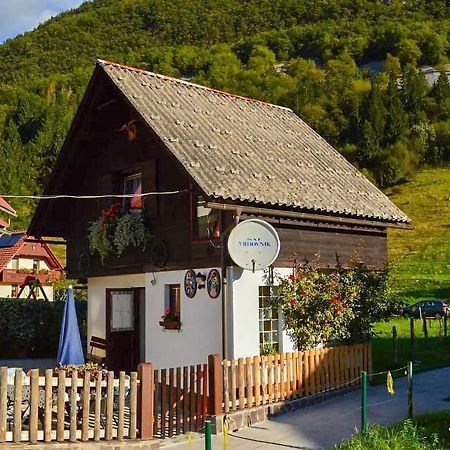 Apartmaji Bohinj ภายนอก รูปภาพ