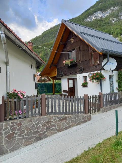 Apartmaji Bohinj ภายนอก รูปภาพ