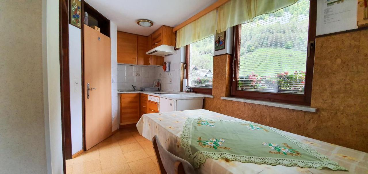Apartmaji Bohinj ภายนอก รูปภาพ